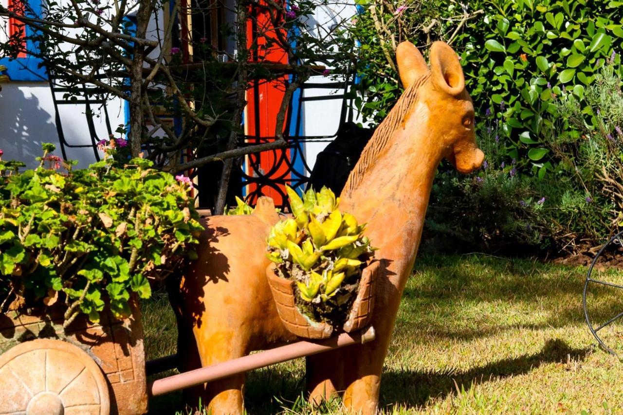Araujo Bazilio 3* Tiradentes