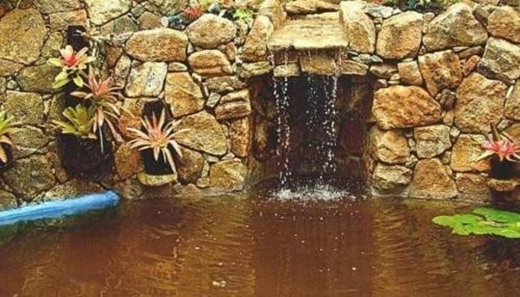 Araujo Bazilio Tiradentes